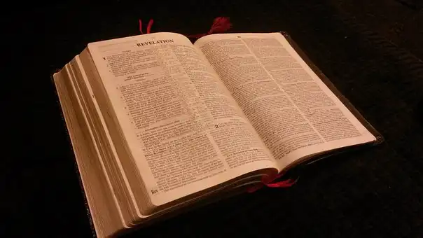 Versículos De La Biblia Abnegación