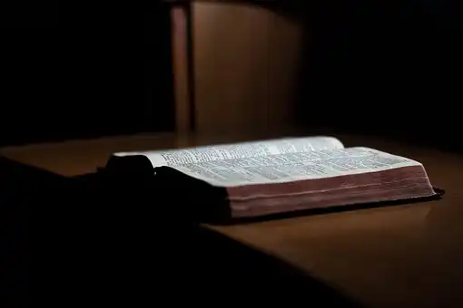 Versículos De La Biblia Afecto