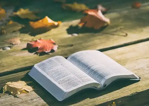 Versículos De La Biblia Amor y confianza