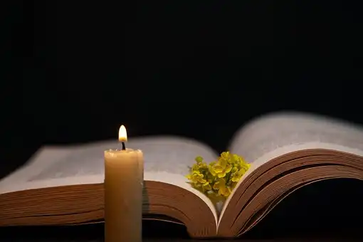 Versículos De La Biblia Bienvenida