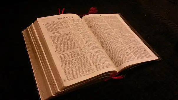 Versículos De La Biblia Boda