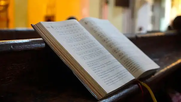 Versículos De La Biblia Buscar