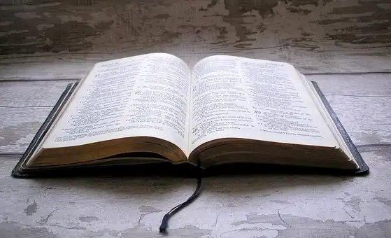 Versículos De La Biblia Conciencia