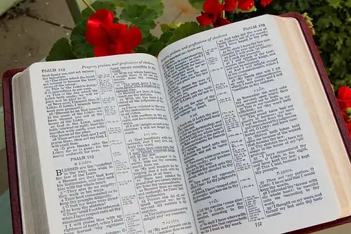 Versículos De La Biblia Corazones endurecidos