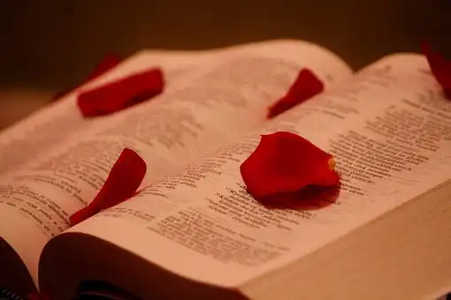 Versículos De La Biblia Corazones rotos