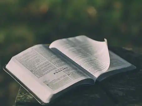 Versículos De La Biblia Fortalezas y debilidades