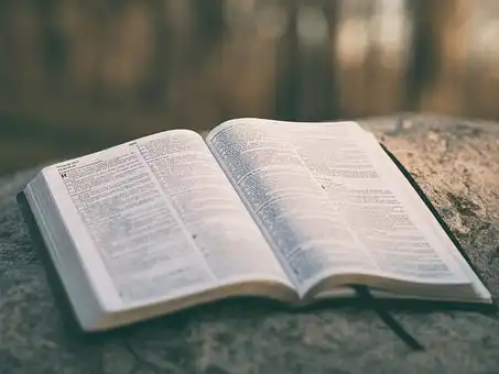 Versículos De La Biblia Hombres y mujeres viviendo juntos