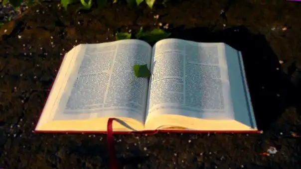 Versículos De La Biblia Honrando a tu madre y a tu padre