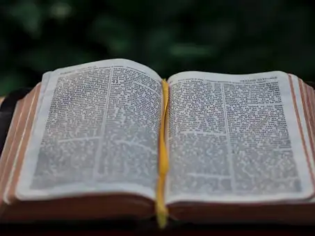 Versículos De La Biblia Renacimiento