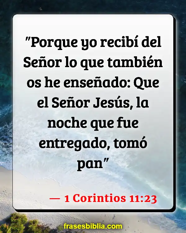 Versículos De La Biblia Pelo de mujer (1 Corintios 11:23)