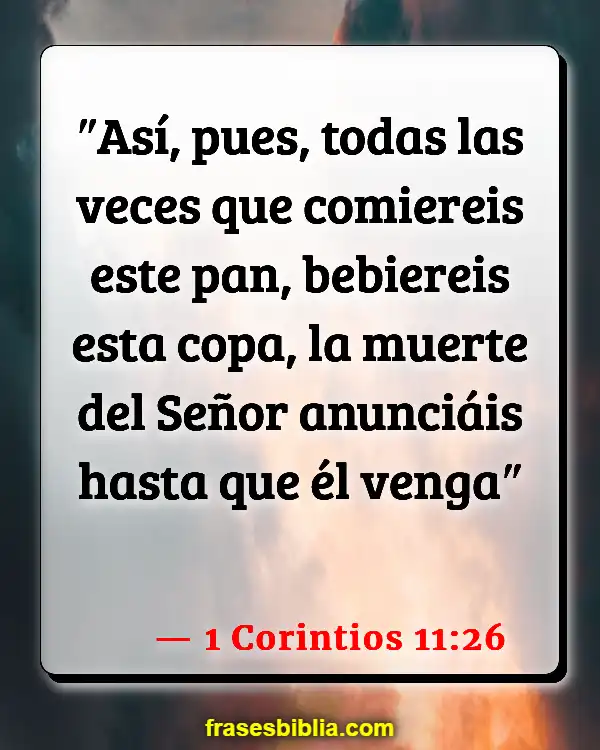 Versículos De La Biblia Última cena (1 Corintios 11:26)