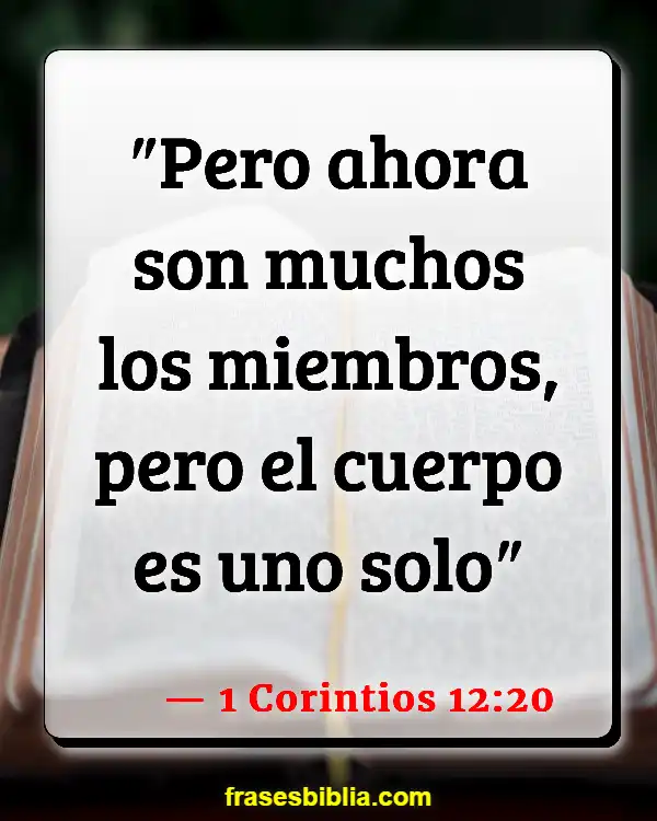 Versículos De La Biblia Cuerpo de Cristo (1 Corintios 12:20)