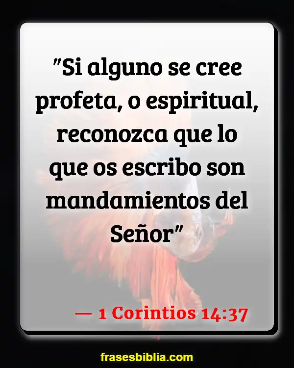 Versículos De La Biblia Unidad entre los creyentes (1 Corintios 14:37)