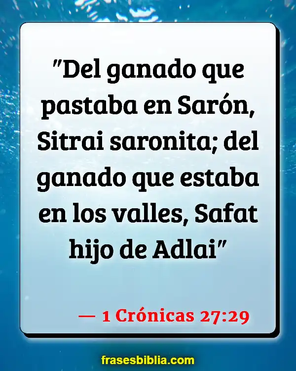 Versículos De La Biblia La rosa de Sharon (1 Crónicas 27:29)