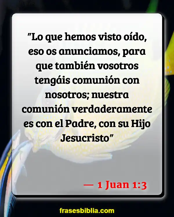 Versículos De La Biblia Sangre (1 Juan 1:3)