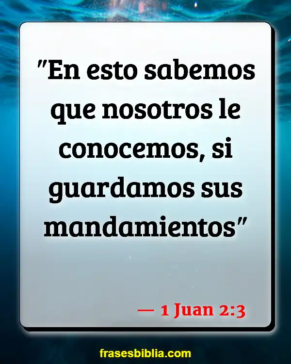 Versículos De La Biblia Amar a los hombres (1 Juan 2:3)