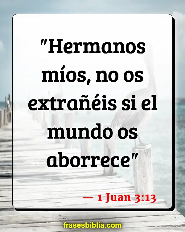 Versículos De La Biblia Amistad (1 Juan 3:13)