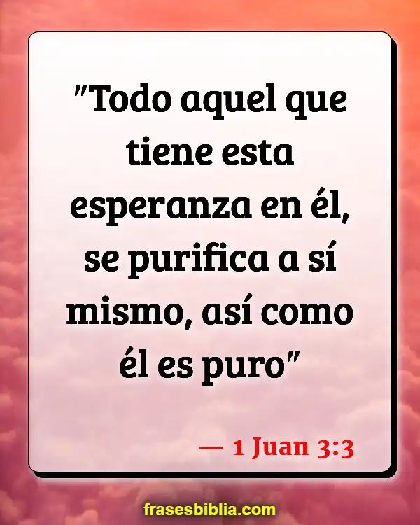 Versículos De La Biblia Habla bien del marido (1 Juan 3:3)