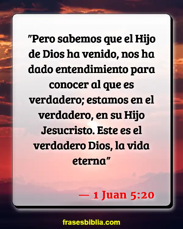 Versículos De La Biblia ¿Quiénes son cristianos? (1 Juan 5:20)