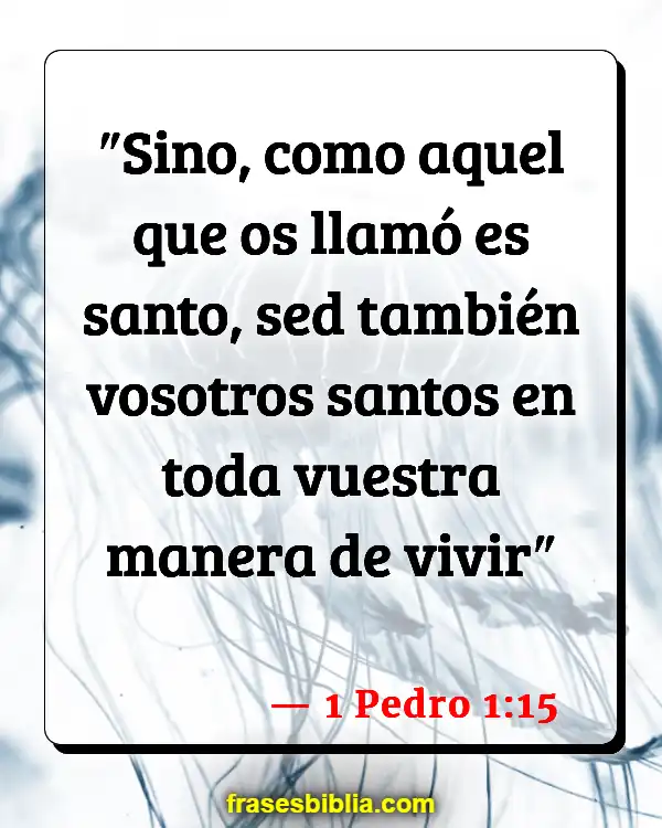 Versículos De La Biblia Lenguaje vulgar (1 Pedro 1:15)