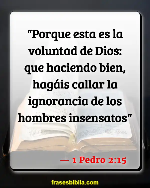 Versículos De La Biblia Confrontación bíblica (1 Pedro 2:15)