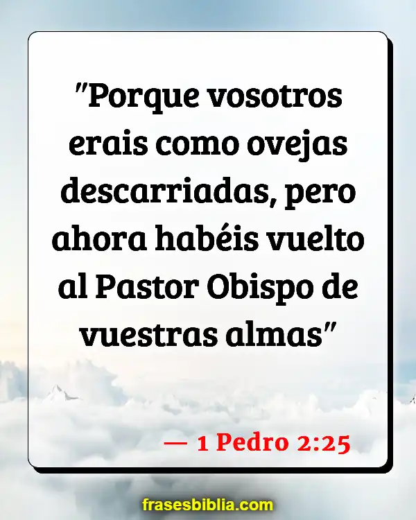 Versículos De La Biblia Ujieres (1 Pedro 2:25)