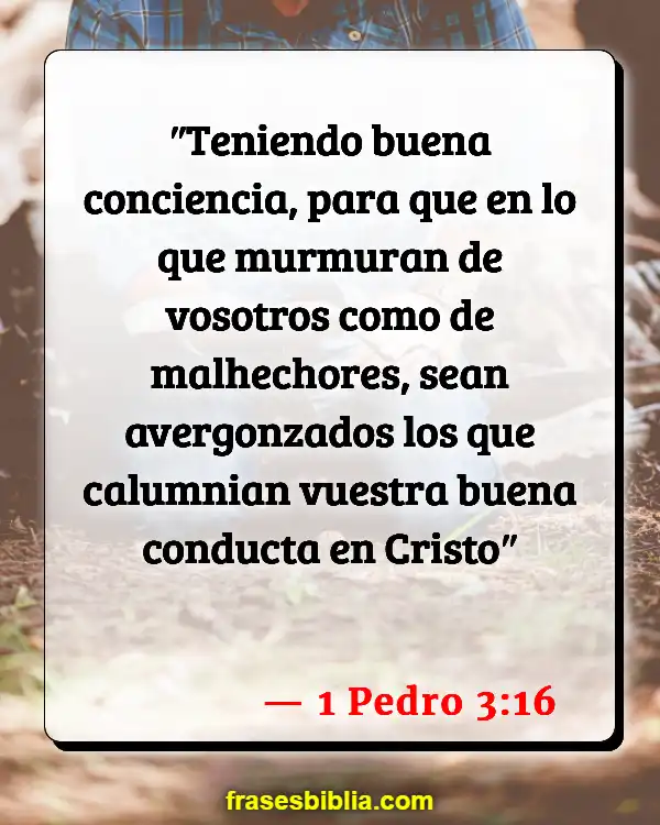 Versículos De La Biblia Hablar de los demás (1 Pedro 3:16)