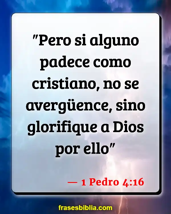 Versículos De La Biblia ¿Quiénes son cristianos? (1 Pedro 4:16)