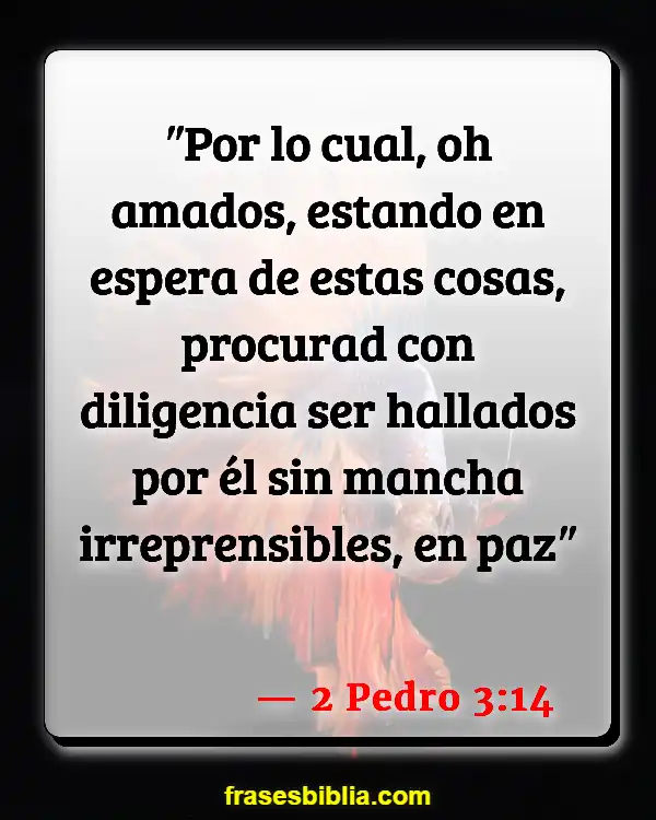 Versículos De La Biblia Amistad (2 Pedro 3:14)