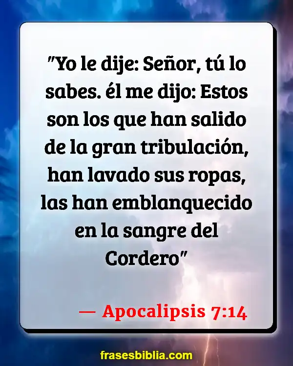 Versículos De La Biblia Sangre (Apocalipsis 7:14)