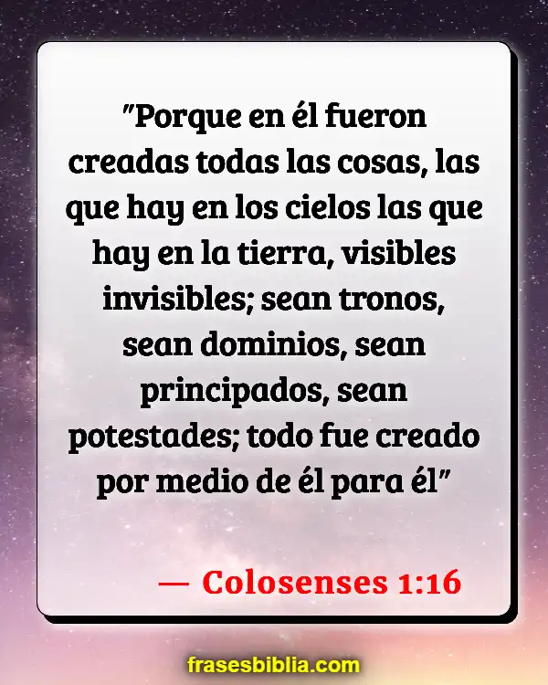 Versículos De La Biblia Nosotros como creación de Dios (Colosenses 1:16)