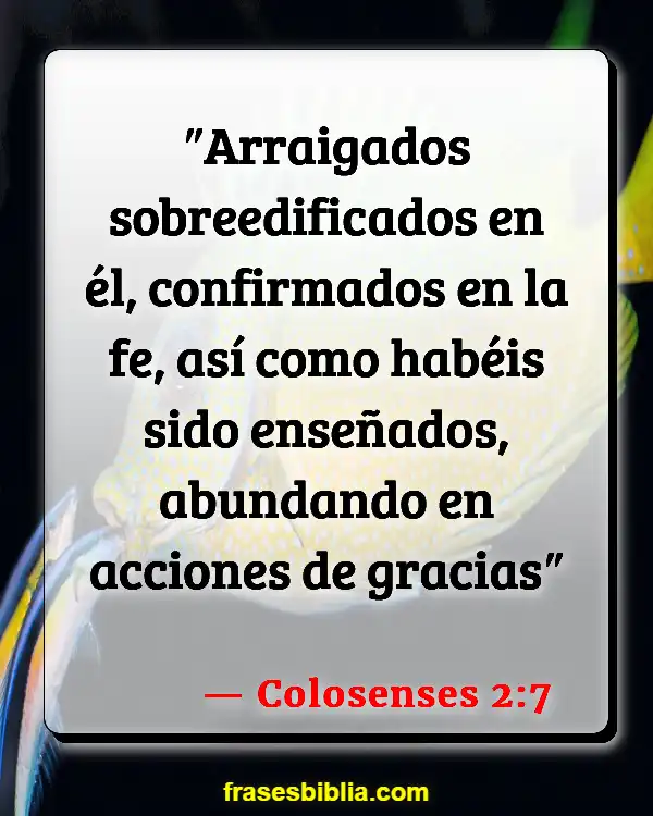 Versículos De La Biblia Agradeciendo A Dios Por Las Bendiciones (Colosenses 2:7)
