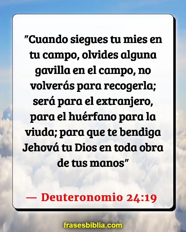 Versículos De La Biblia Viudas (Deuteronomio 24:19)