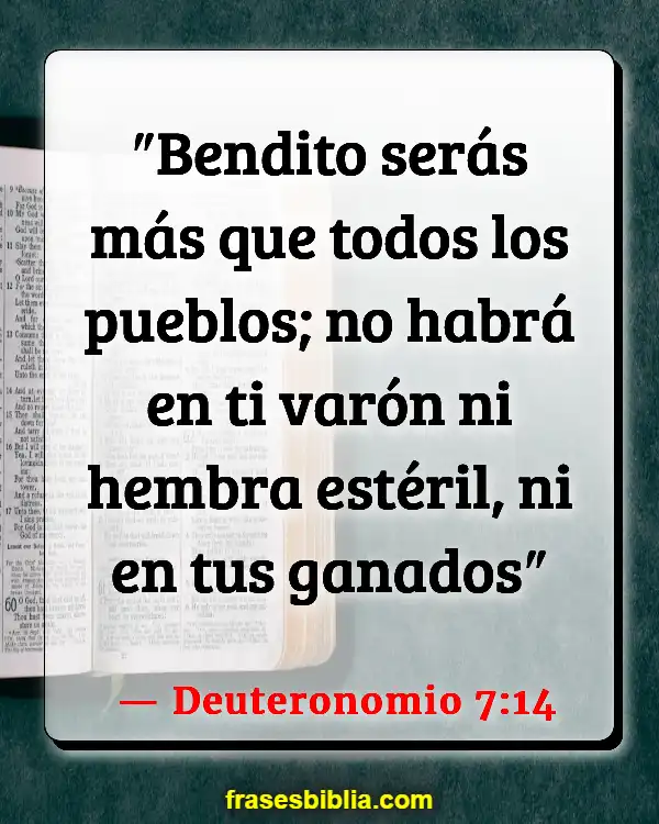 Versículos De La Biblia Investigación con células madre (Deuteronomio 7:14)