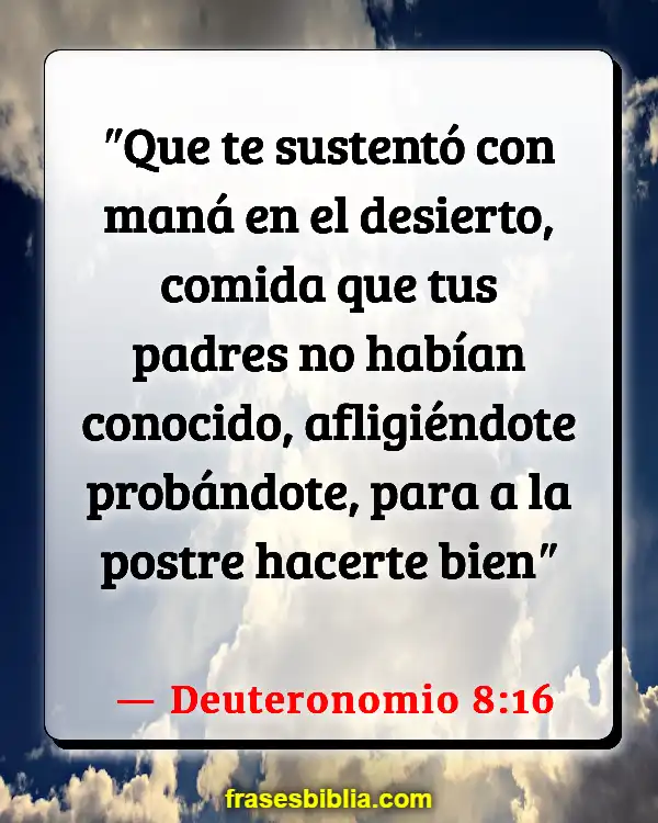 Versículos De La Biblia Dios prueba a Abraham (Deuteronomio 8:16)