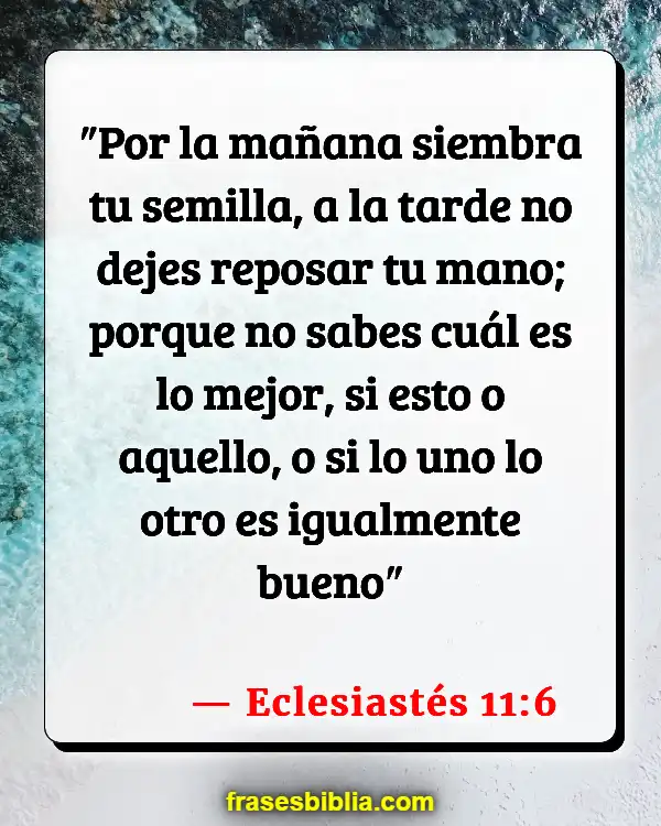 Versículos De La Biblia Hora de plantar (Eclesiastés 11:6)