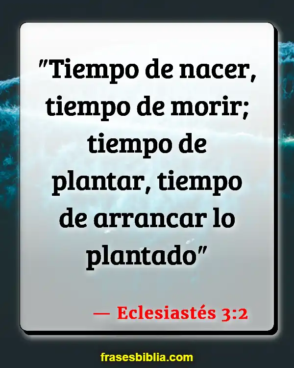 Versículos De La Biblia Hora de plantar (Eclesiastés 3:2)