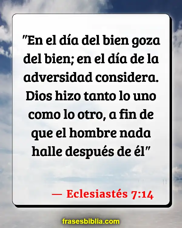 Versículos De La Biblia Felicidad verdadera (Eclesiastés 7:14)