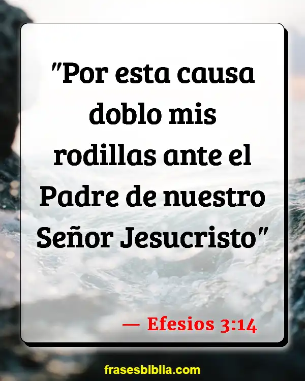 Versículos De La Biblia Amar a mi familia (Efesios 3:14)