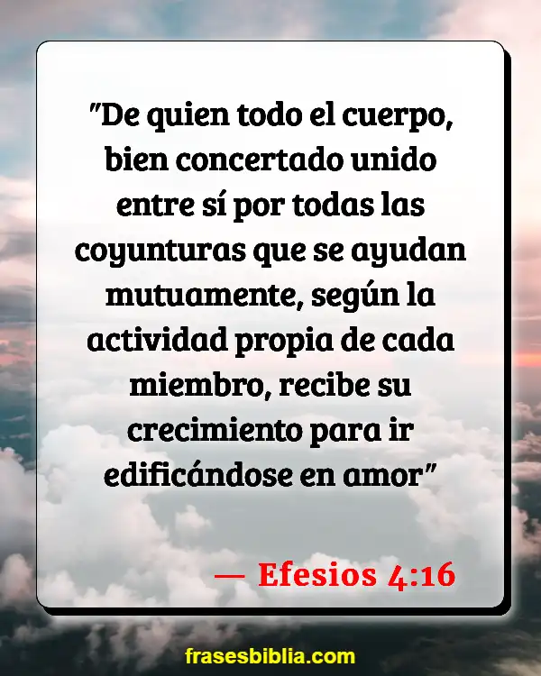 Versículos De La Biblia ¿Qué es la iglesia? (Efesios 4:16)