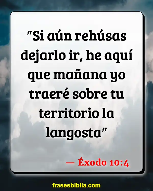 Versículos De La Biblia Insectos (Éxodo 10:4)
