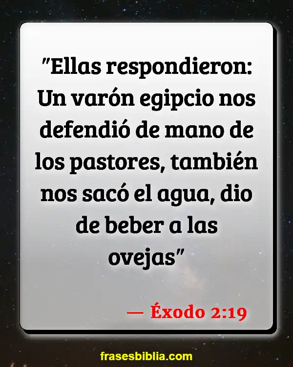 Versículos De La Biblia Multiculturalismo (Éxodo 2:19)