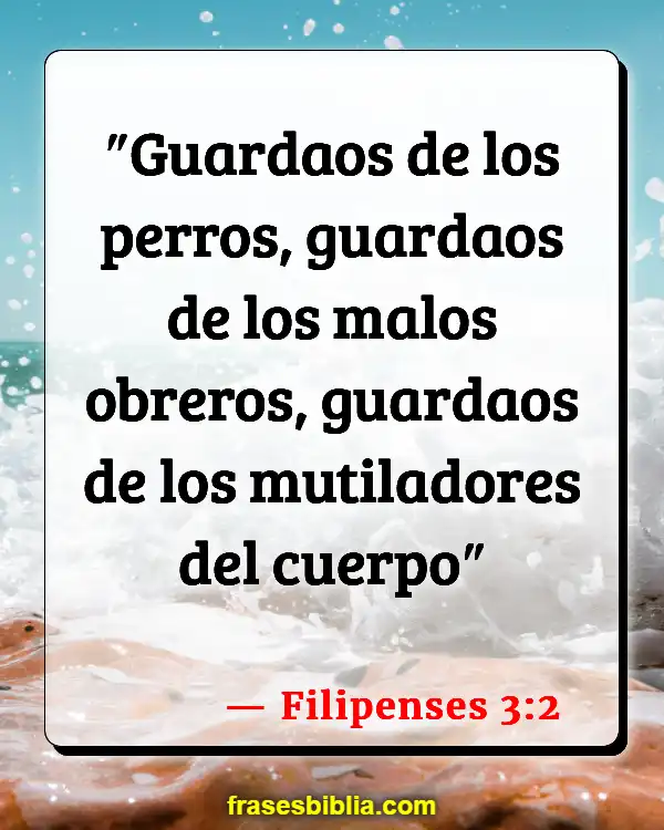 Versículos De La Biblia Lenguaje vulgar (Filipenses 3:2)