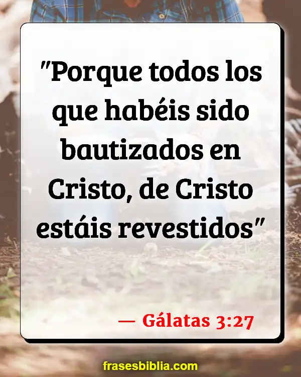 Versículos De La Biblia Unidad entre los creyentes (Gálatas 3:27)