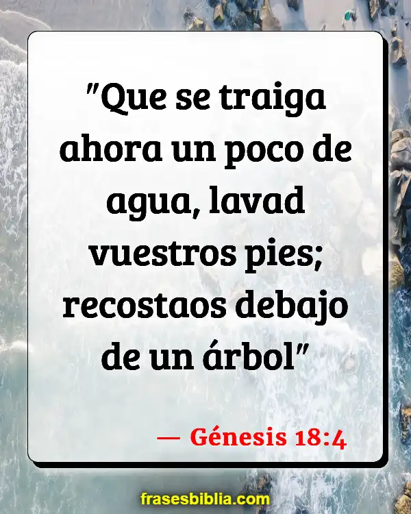 Versículos De La Biblia Pozo de agua (Génesis 18:4)