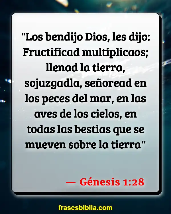 Versículos De La Biblia Nosotros como creación de Dios (Génesis 1:28)