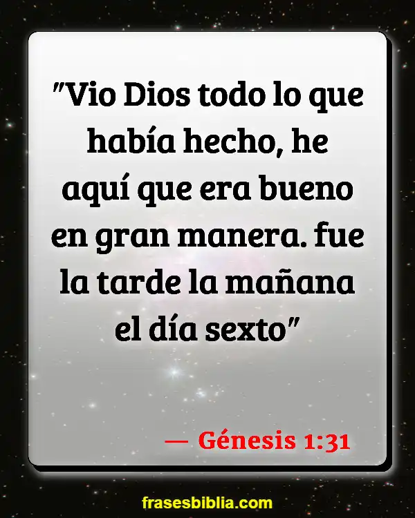 Versículos De La Biblia Nosotros como creación de Dios (Génesis 1:31)
