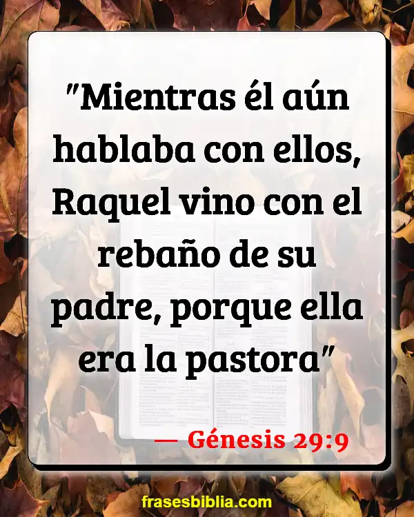 Versículos De La Biblia Oveja (Génesis 29:9)