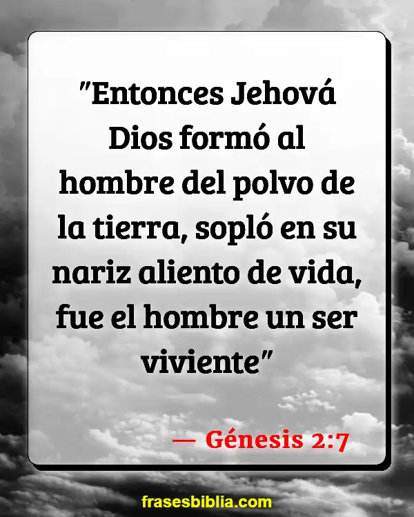Versículos De La Biblia Hombre sabio (Génesis 2:7)