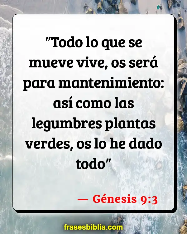Versículos De La Biblia Hierba (Génesis 9:3)